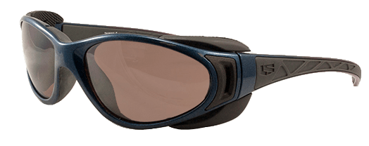 LS Rec-Specs Triumph Sunglasses