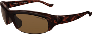 Switch Magnetic Stoke Sunglasses